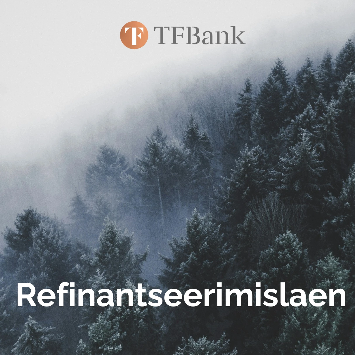 Refinantseerimislaen